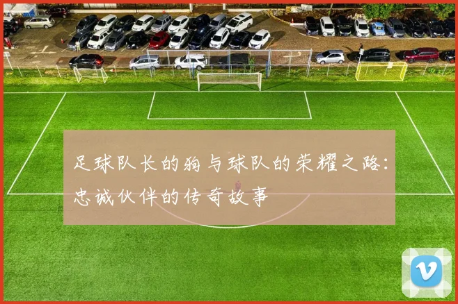 足球队长的狗与球队的荣耀之路：忠诚伙伴的传奇故事