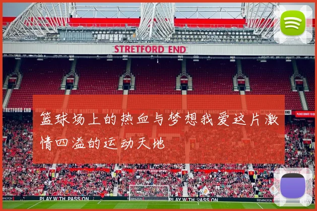 篮球场上的热血与梦想我爱这片激情四溢的运动天地